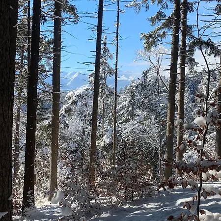 Waldblick - Neubau - Self-check-in - Kein Verkehr - Am Wald - Parkplaetze Vor Tuer - Or Double Innsbruck