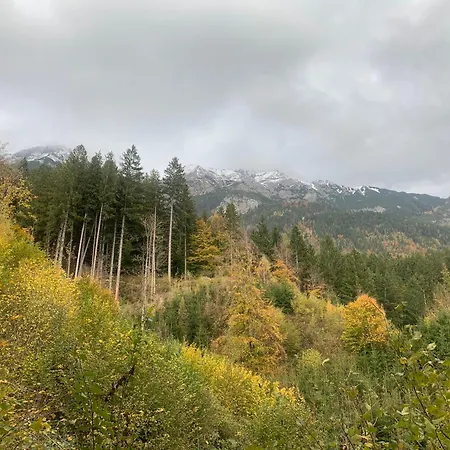 Waldblick - Neubau - Self-check-in - Kein Verkehr - Am Wald - Parkplaetze Vor Tuer - Or Double