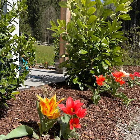 Waldblick - Neubau - Self-check-in - Kein Verkehr - Am Wald - Parkplaetze Vor Tuer - Or Double Apartment Innsbruck