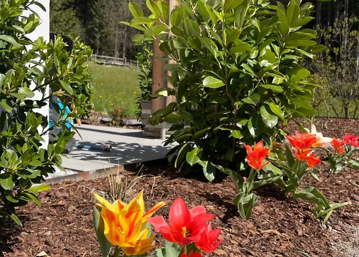 Waldblick - Neubau - Self-check-in - Kein Verkehr - Am Wald - Parkplaetze Vor Tuer - Or Double Daire İnnsbruck